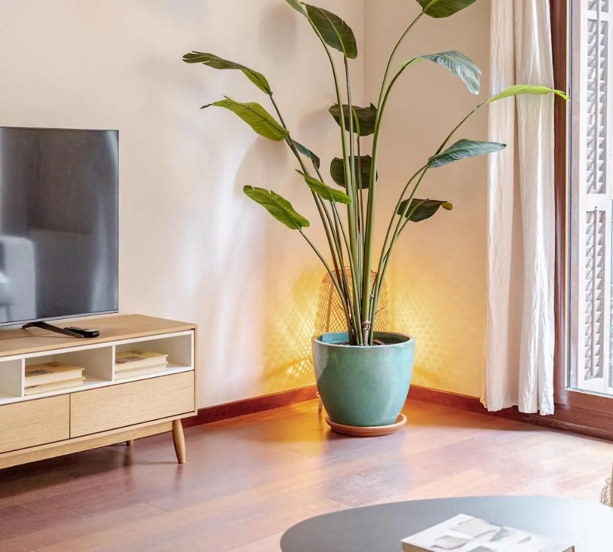 New Charming & Cozy Gem Central Location Barcelona Apartment